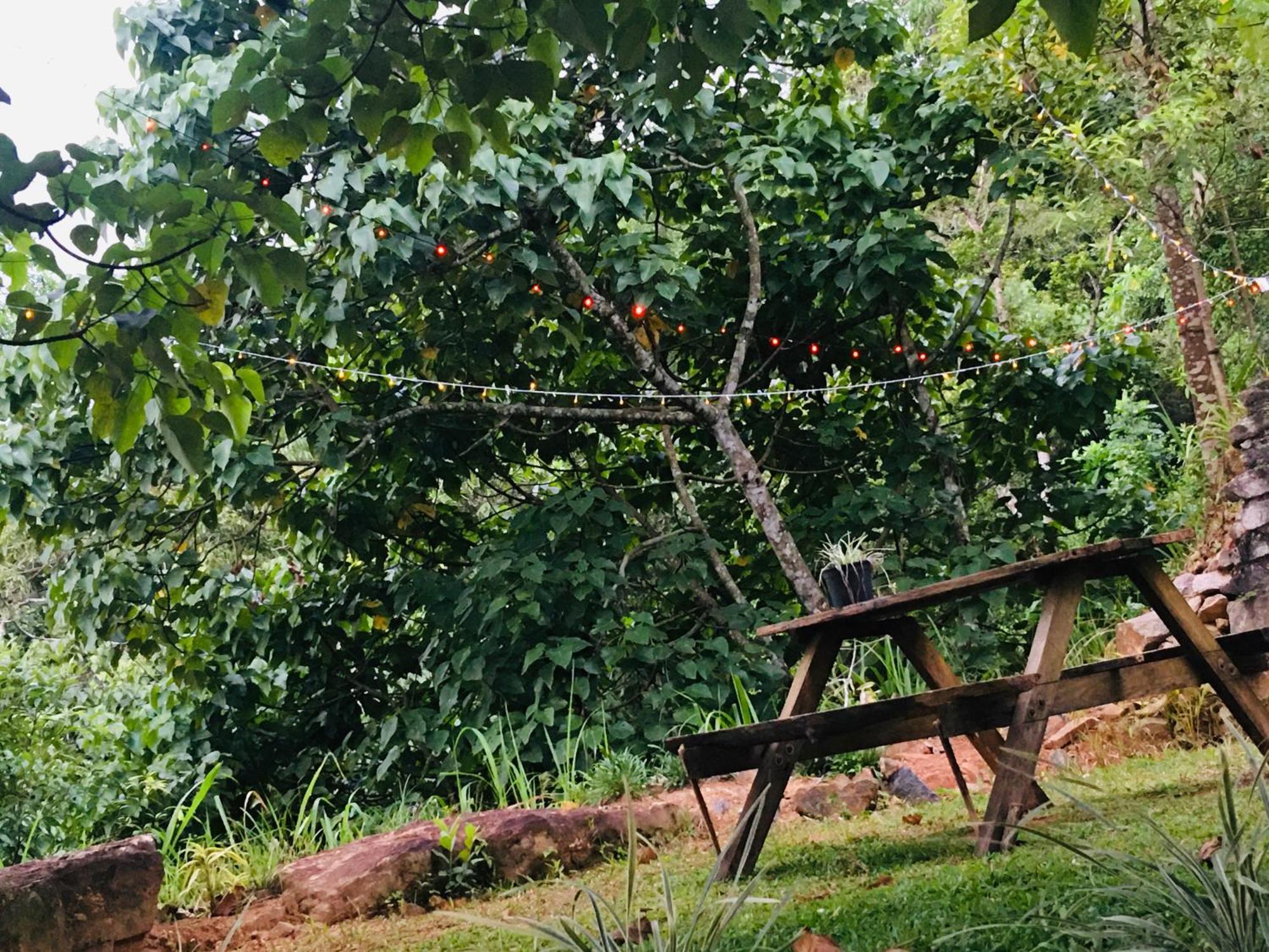 Little Wood Villa And Retreats Doluwa Kandy Kültér fotó